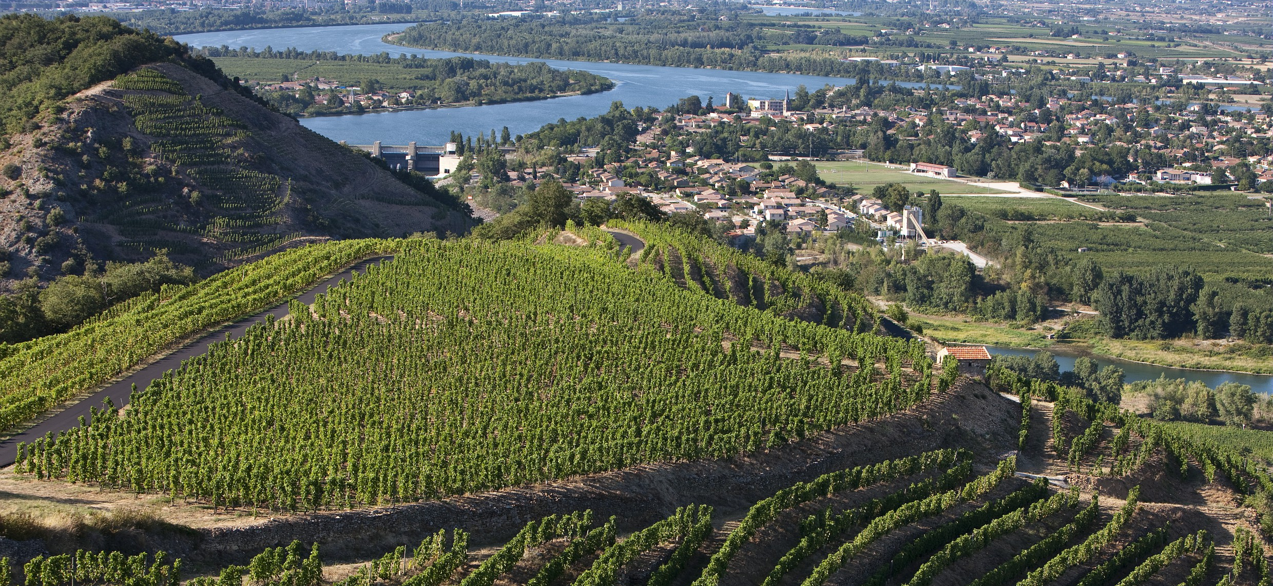 PAC, vos aides possibles en viticulture