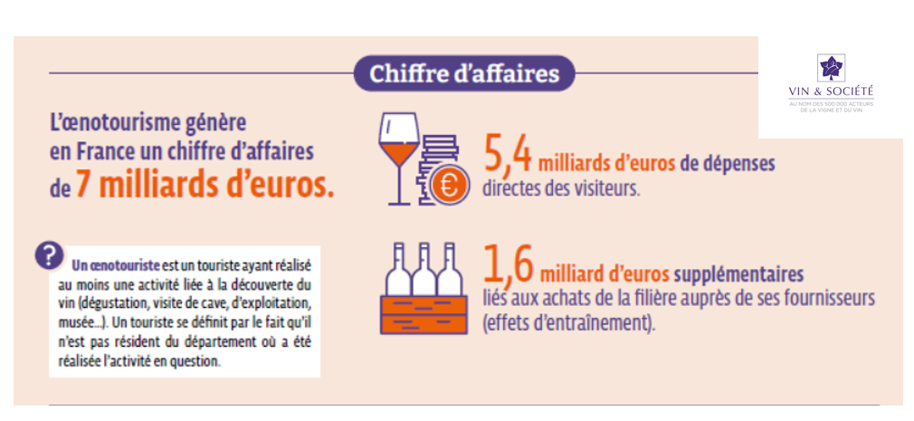 L'œnotourisme, un pilier de l'économie et du tourisme