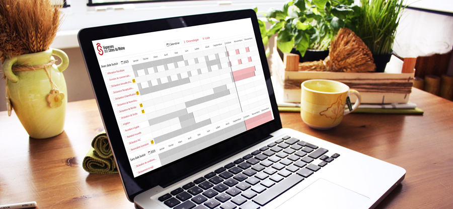 Découvrez le Calendrier de vos obligations déclaratives en ligne !